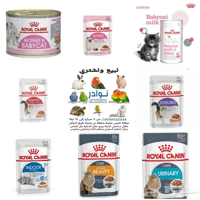 جديد مستلزمات طيور وقطط وهامستر وسلاحف نوادر 24