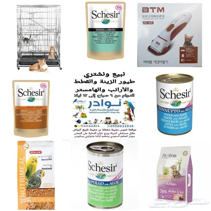 جديد مستلزمات طيور وقطط وهامستر وسلاحف نوادر 38