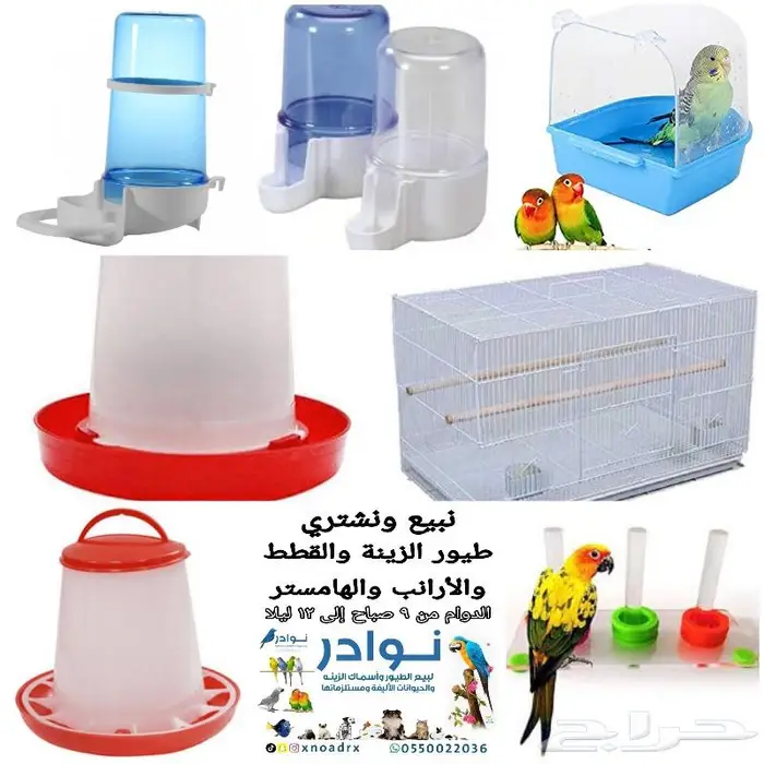 جديد مستلزمات طيور وقطط وهامستر وسلاحف نوادر 39