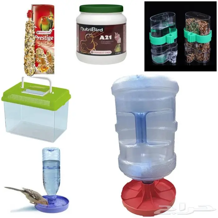 جديد مستلزمات طيور وقطط وهامستر وسلاحف نوادر 41