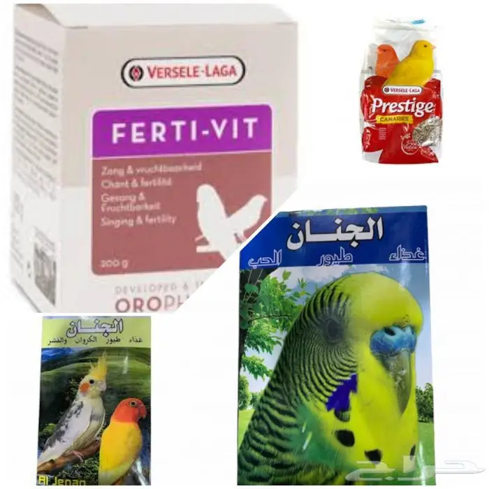 جديد مستلزمات طيور وقطط وهامستر وسلاحف نوادر 42