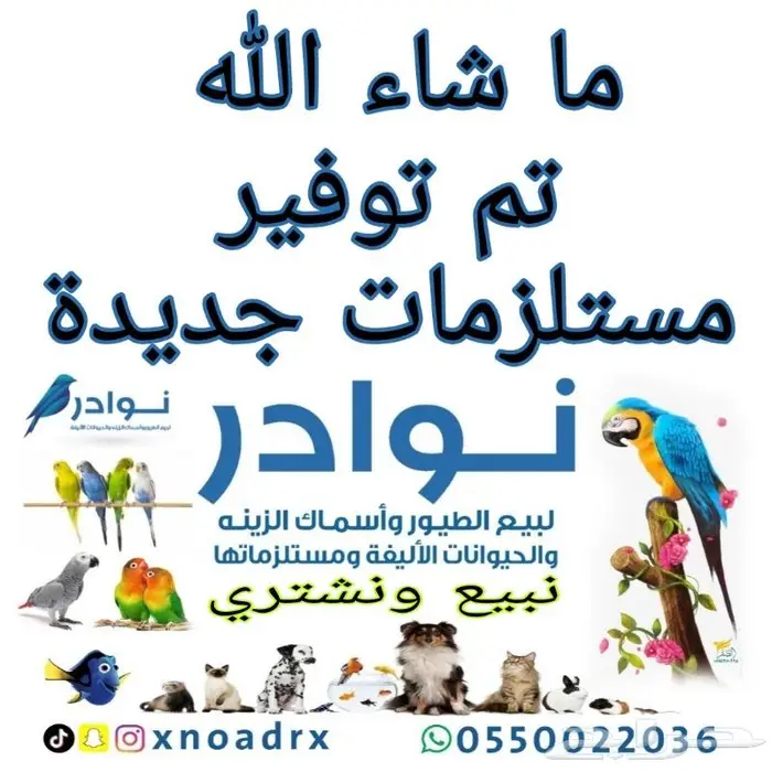 جديد مستلزمات طيور وقطط وهامستر وسلاحف نوادر 32