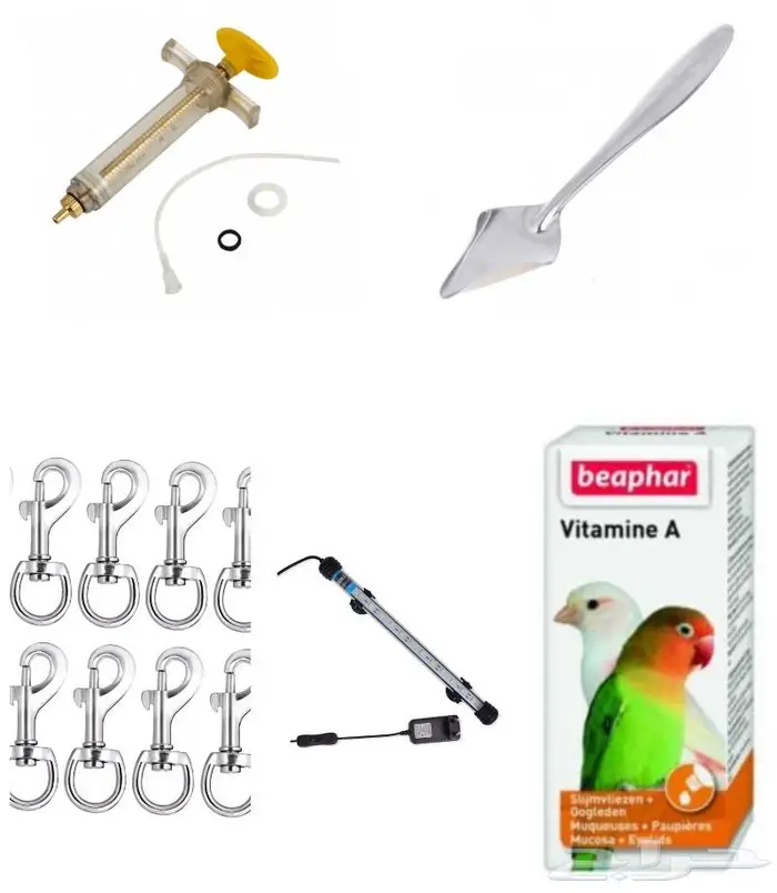 جديد مستلزمات طيور وقطط وهامستر وسلاحف نوادر 43