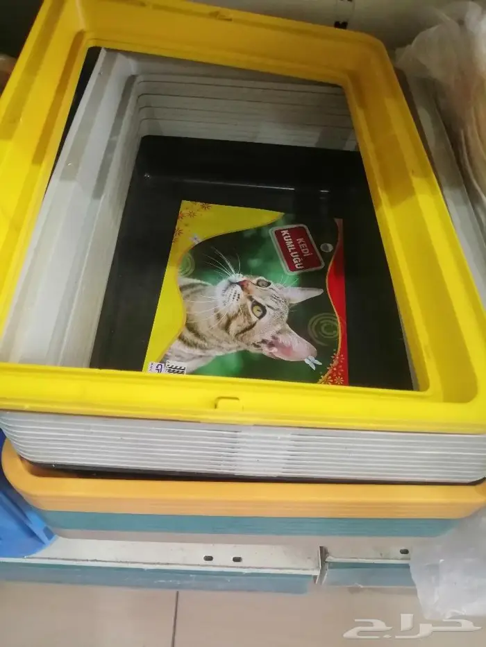 اكل كلاب وجميع مستلزماتها 12