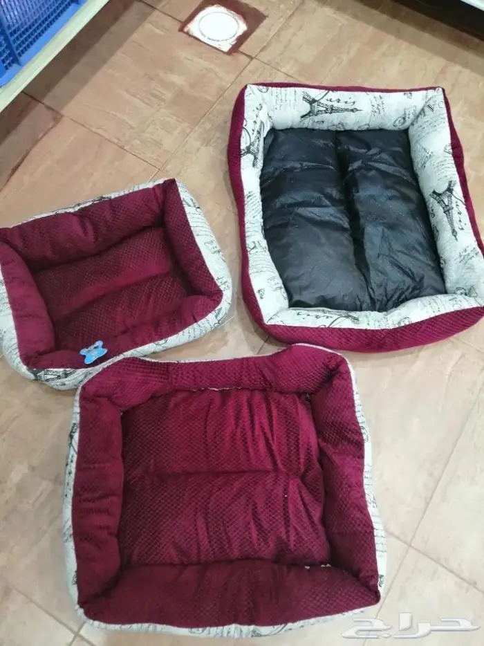 اكل كلاب صغيرة وكبيرة نوادر وجميع مستلزماتها 2
