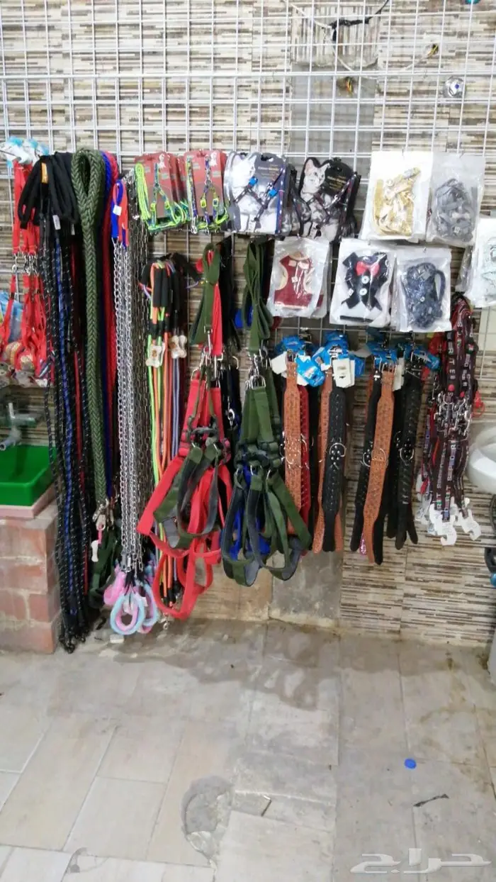 طعام كلاب وجميع مستلزماتها نوادر 34