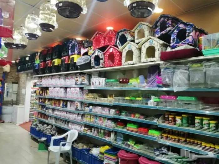 اكل كلاب صغيرة وكبيرة نوادر وجميع مستلزماتها 0