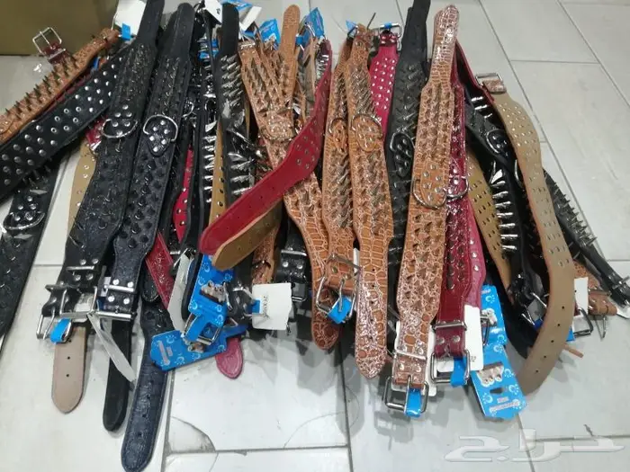 اكل كلاب وجميع مستلزماتها 27