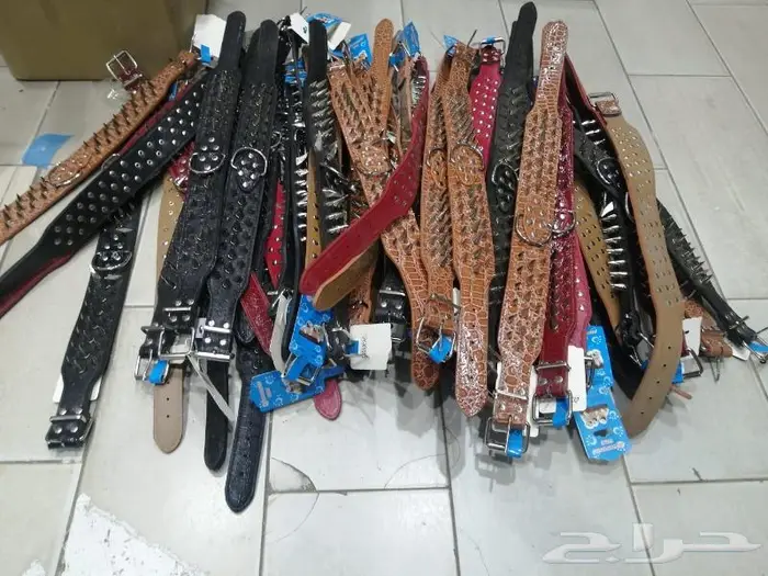 طعام كلاب وجميع مستلزماتها نوادر 47
