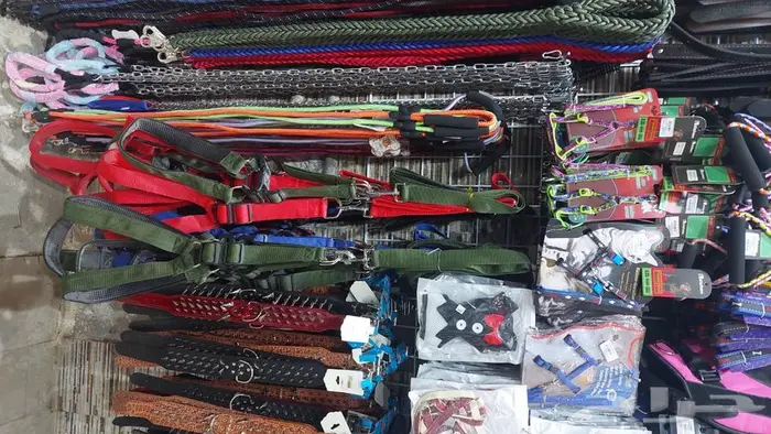 اكل كلاب صغيرة وكبيرة نوادر وجميع مستلزماتها 35