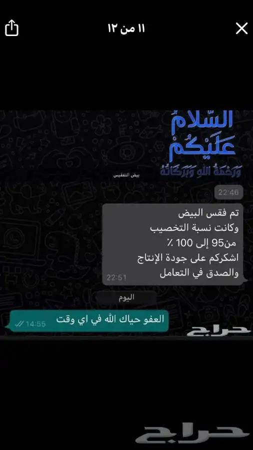 سمان وبيض سمان فري 5