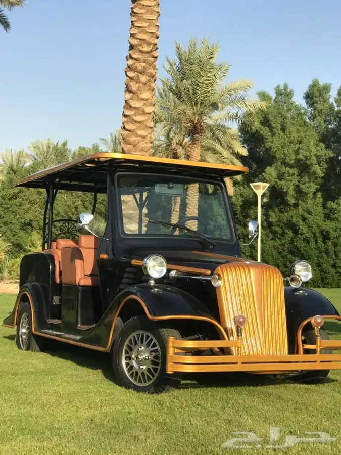بيع وتأجير وعقود صيانة العربات الكهربائية قولف كار(Golf Car) 7