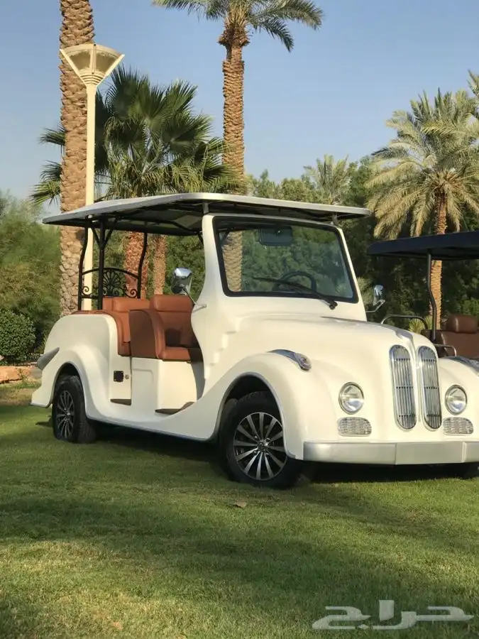 بيع وتأجير وعقود صيانة العربات الكهربائية قولف كار(Golf Car) 6