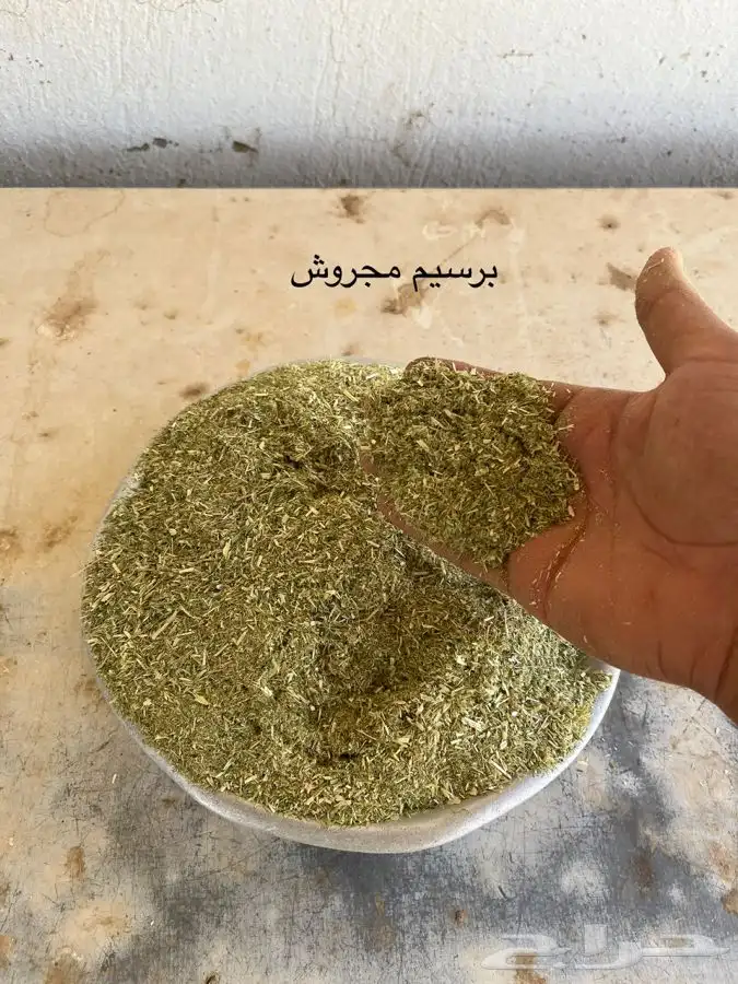 طاحونة اعلاف 10