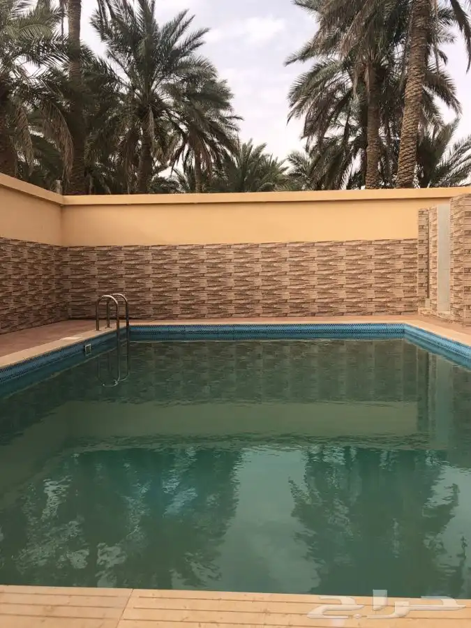 مزرعة بمسبح و مبيت للايجار اليومي في سدير 5
