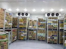 غرف التبريد والتجميد (المتصلة و المنفصلة)l 4