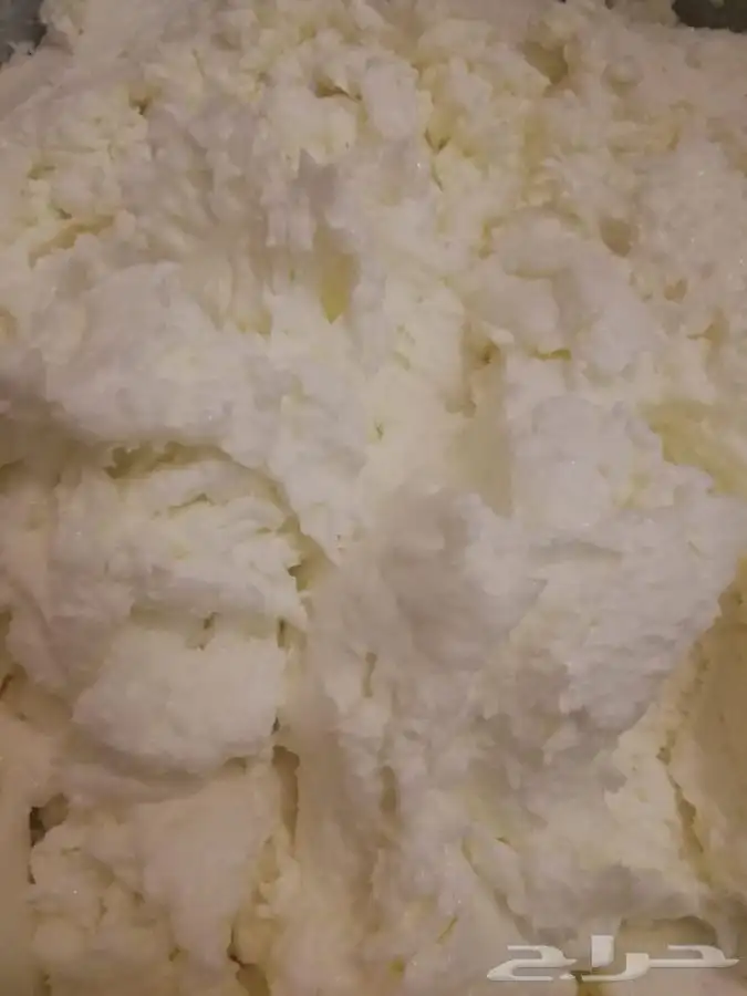 سمن معزا وزبده معزا 21