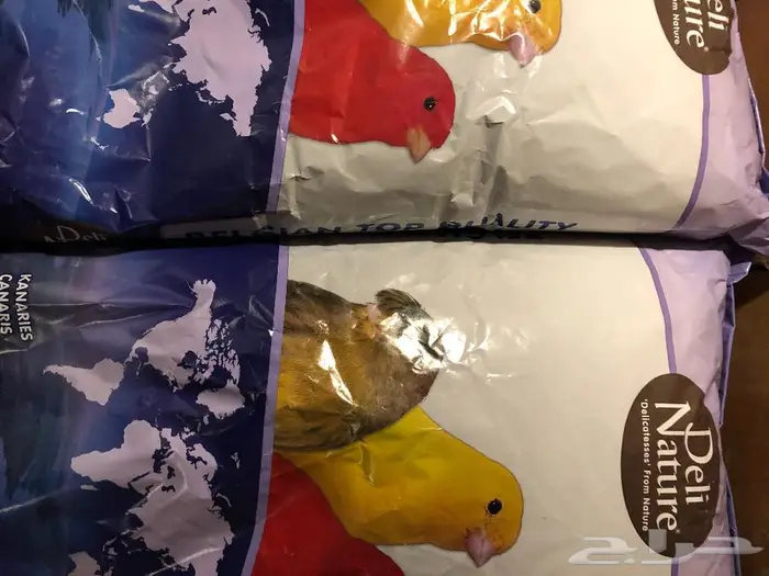 أكل اعلاف طيور كناري روز كروان بادجي كاسكو 3