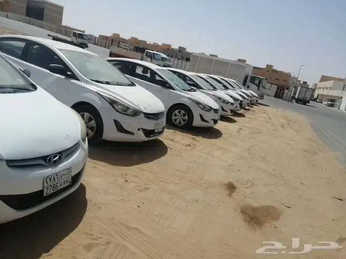 ايجار دينات وباصات وسيارت 2