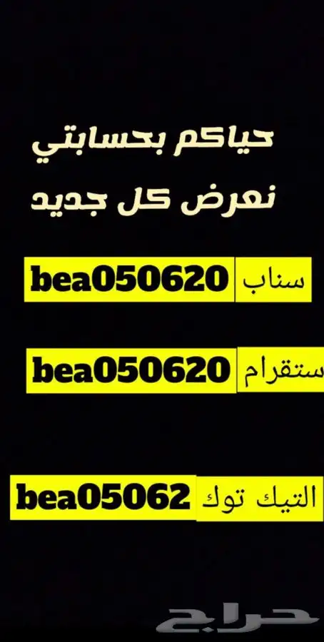 قطط - قطط   بسعر مناسب   2