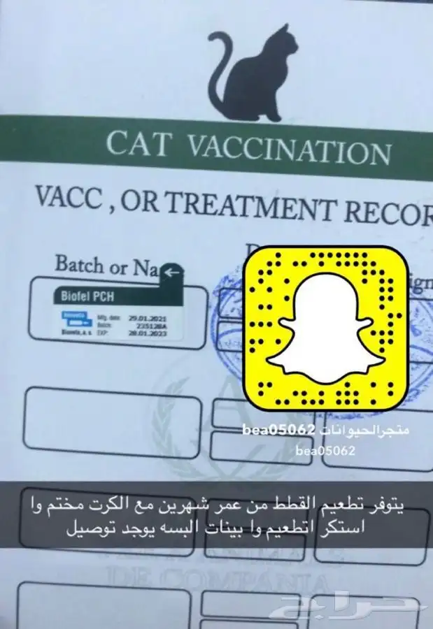 قطط يتوفر جميع مستلزمات الحيواتات 3