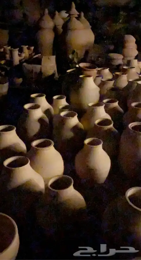 فخاريات واشجار داخليه وخارجيه باسعار طيبه 7