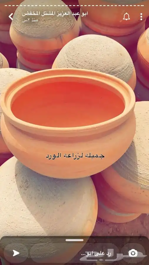 فخاريات واشجار داخليه وخارجيه باسعار طيبه 9