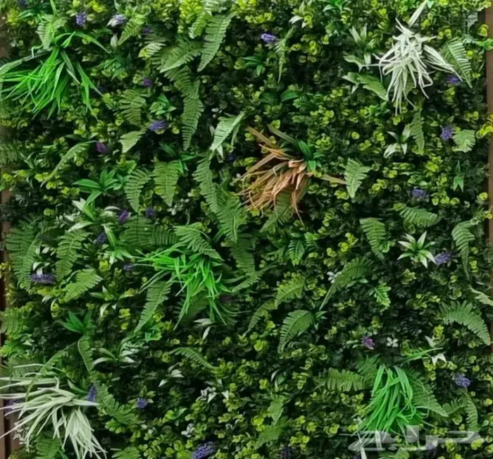 عشب جداري بأسعار منافسة 0