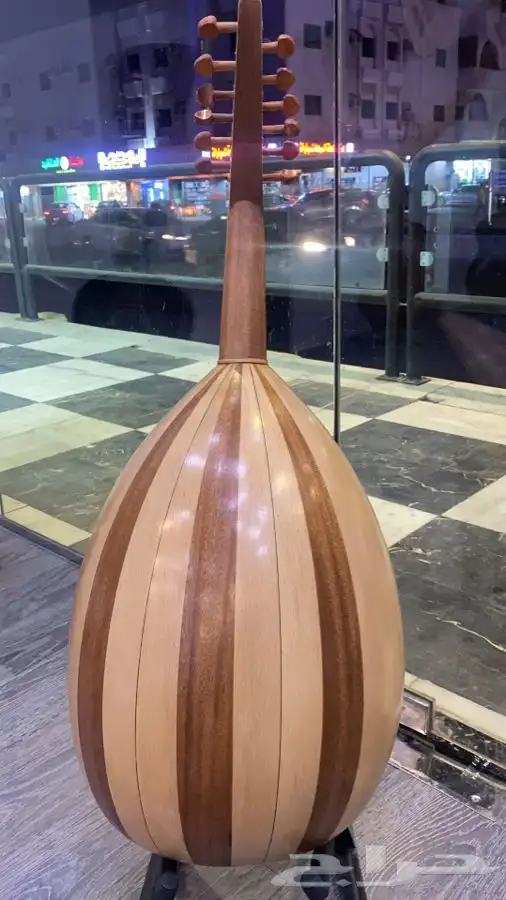 عودي مصري تعليمي 1