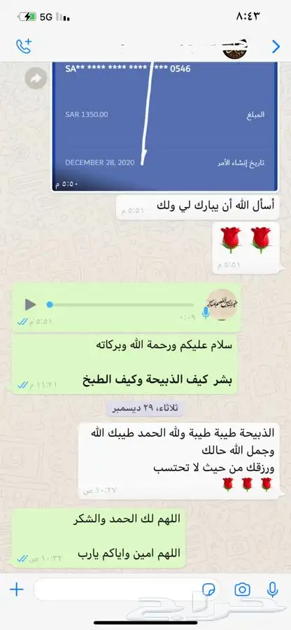 ذبيحتك لبيتك وانت مرتاح حري بري فاخر من الاخر 70