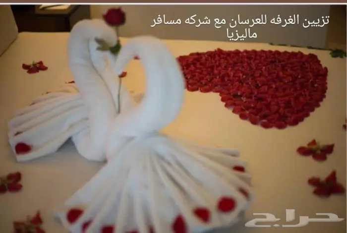 بكج عائلى لعدد 5 اشخاص 15 يوم فى ماليزيا 1
