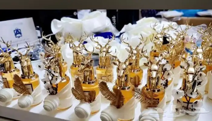 توزيعات لجميع المناسبات 27