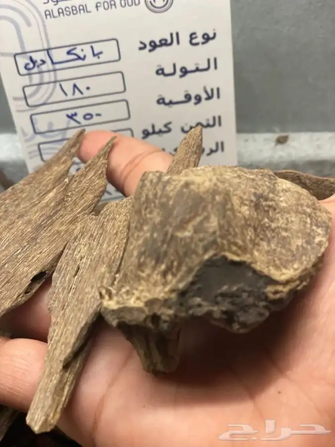 عود طبيعي من النوادر جزيرة بانكا دبل سوبر 2