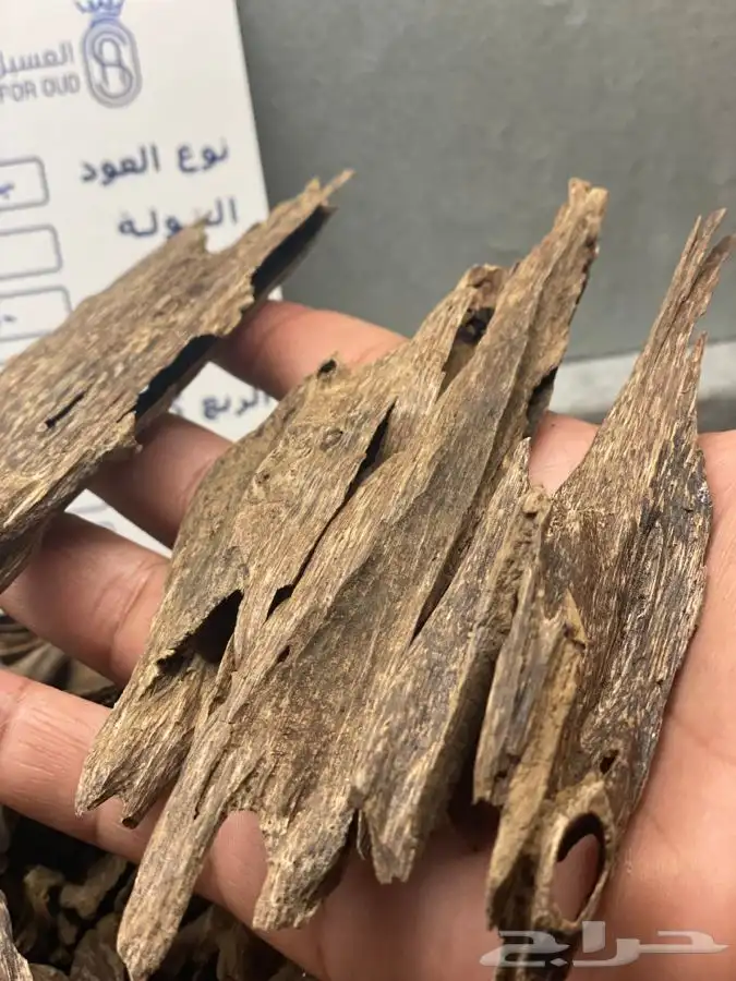 عود طبيعي من النوادر جزيرة بانكا دبل سوبر 1