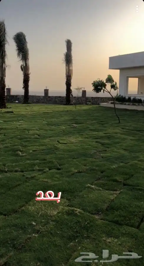 انجيله طبيعي   23