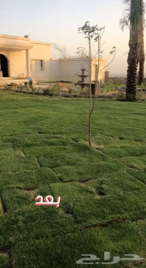 انجيله طبيعي   22