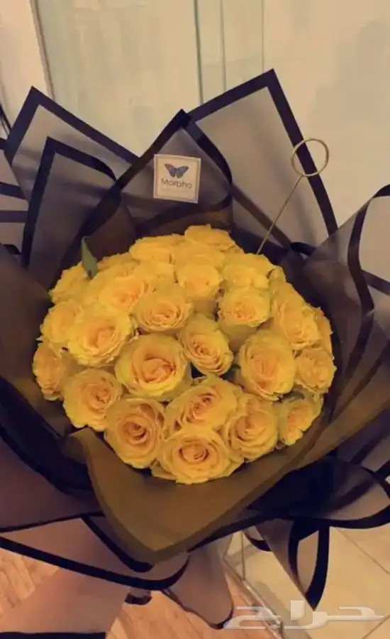 مندوب و منسق هدايا 10