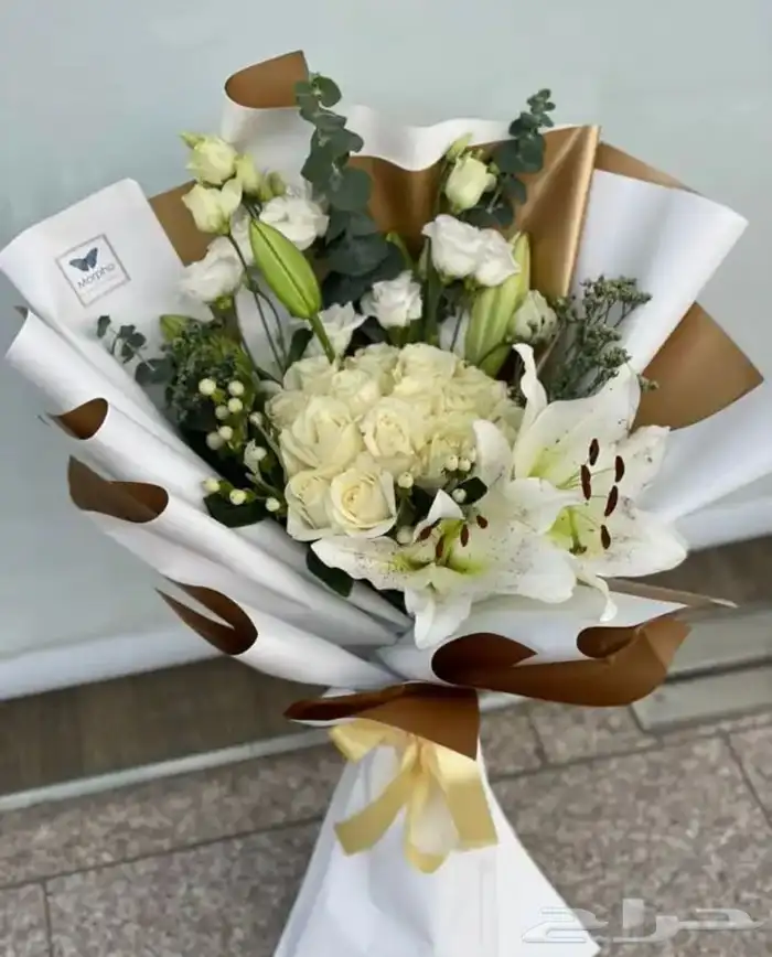 مندوب و منسق هدايا 15