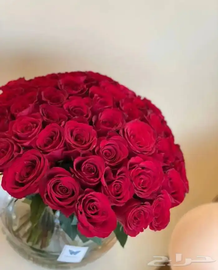 مندوب و منسق هدايا 9