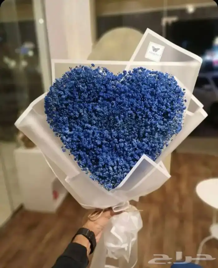 مندوب و منسق هدايا 17