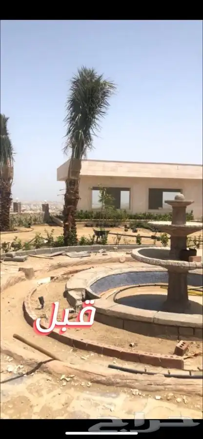 عشب ثيل نجيله صافي 13