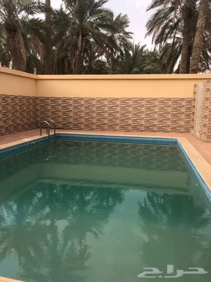 مزرعة مع مسبح للايجار اليومي في سدير 6