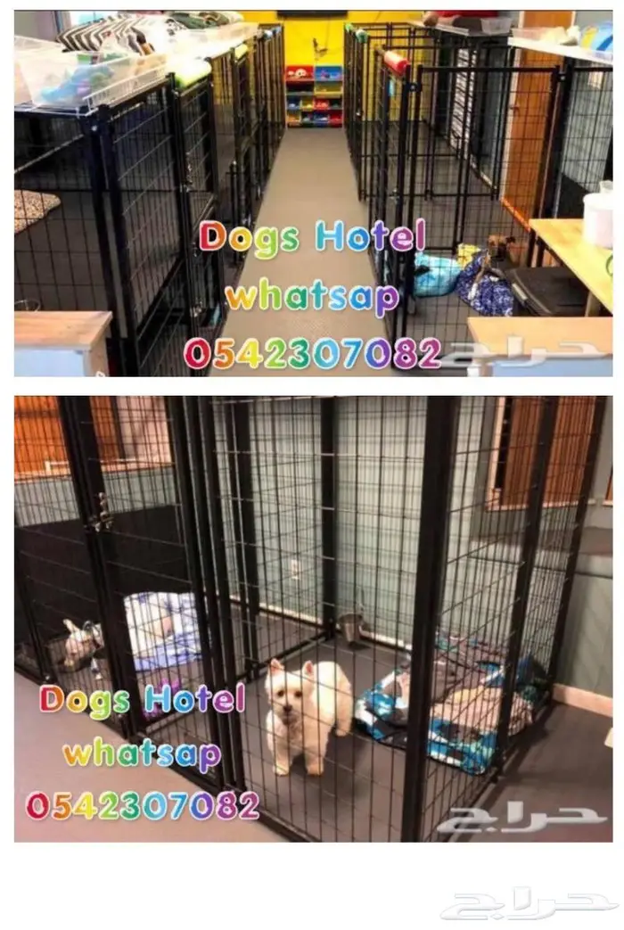 فندقة كلاب و تدريب Dogs Hotel 2