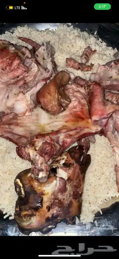 ذبايح طليان حريه وتيوس ورخال وجفار ثلاجه وعزايم ويتوفر طبخ 6