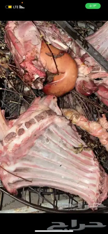 ذبايح طليان حريه وتيوس ورخال وجفار ثلاجه وعزايم ويتوفر طبخ 7