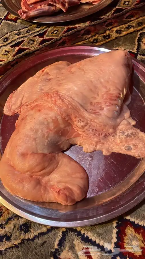 ذبايح طليان حريه وتيوس ورخال وجفار ثلاجه وعزايم ويتوفر طبخ 2