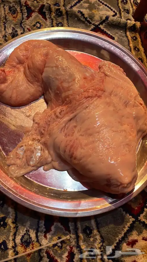 ذبايح حري وتيوس وجفار عزايم وصدقات وثلاجه 4