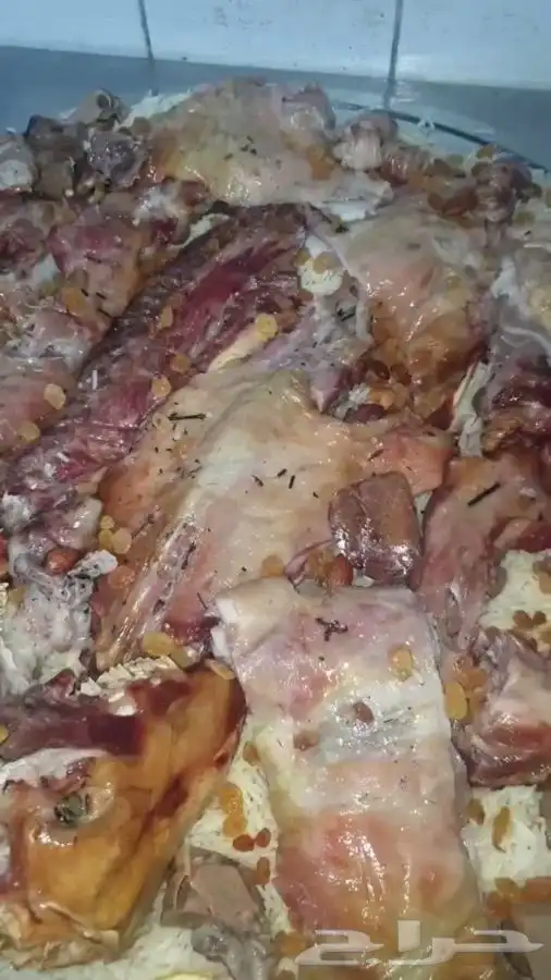 ذبايح ابو عزام خرفان وتيوس 10