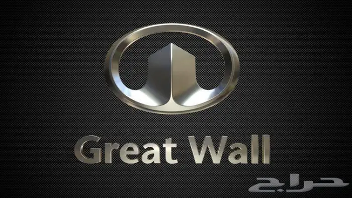 قطع غيار جريت وول بالطلب من الصين خلال 10 أيام 0