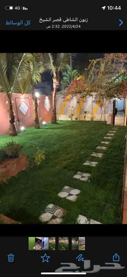 نجيله ثيل عشب طبيعي C2000 صافي جوده عاليه   6